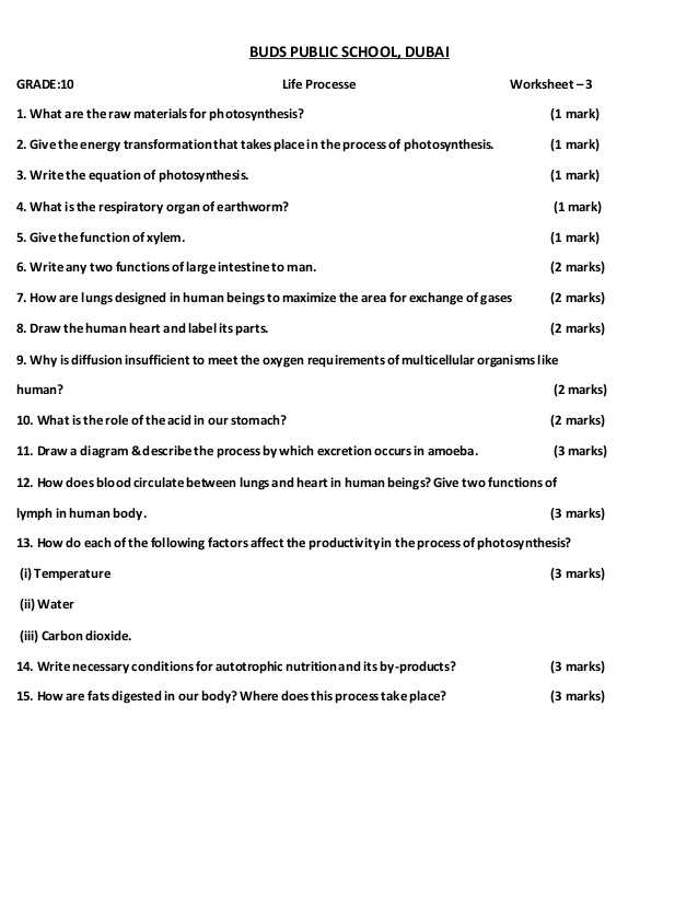 10th Grade Biology Worksheets with Answers and X Biology Worksheet Kidz Activities