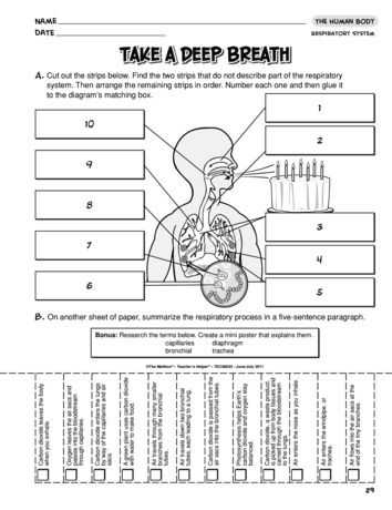 9 5 Digestion In the Small Intestine Worksheet Answers and Take A Deep Breath Lesson Plans the Mailbox