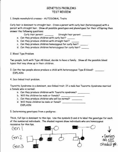 Abo Rh Simulated Blood Typing Worksheet Answers Also Worksheet Template Biology Codominance Blood Typing Tags Blood