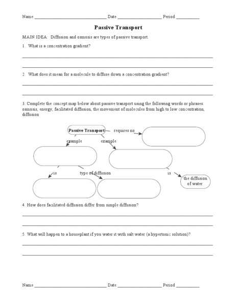 Active and Passive Transport Worksheet together with Active Transport Worksheet Answers Lovely Active and Passive
