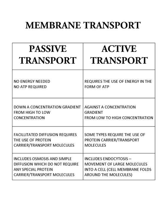 Active and Passive Transport Worksheet together with Awesome Cell Transport Worksheet Elegant Active Transport In Cells