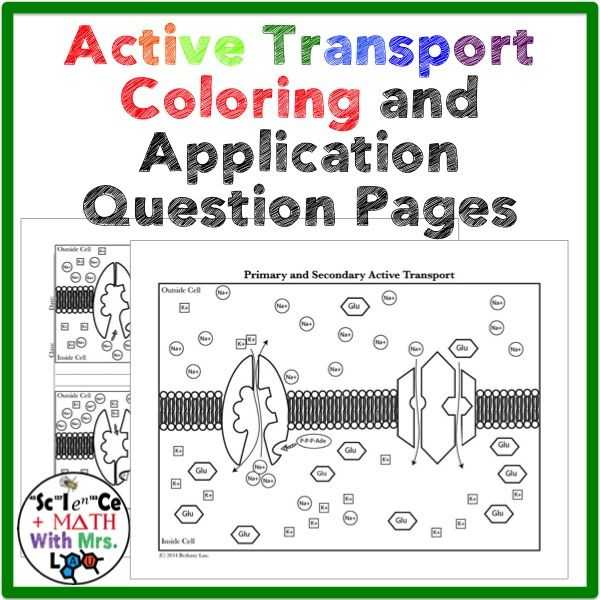 Active Transport Worksheet and Cell Transport Facilitated Diffusion Coloring Page and Application
