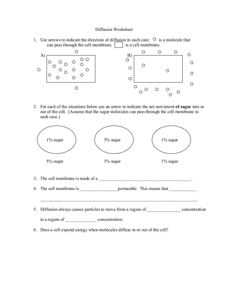 Active Transport Worksheet Answers as Well as Worksheets 48 Awesome Diffusion and Osmosis Worksheet Answers Full