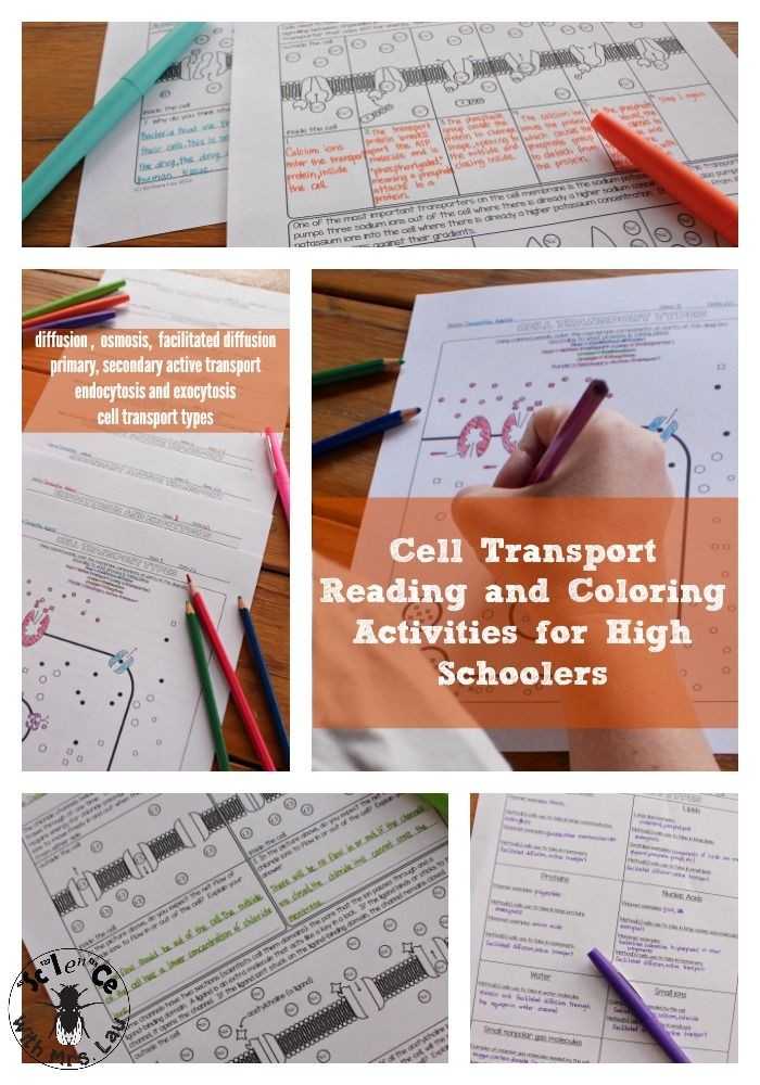 Active Transport Worksheet Answers with 16 Best Cell Transport Worksheet Answers