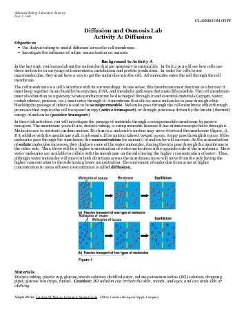 Active Transport Worksheet as Well as Diffusion and Active Transport Worksheet Wallpapers 42