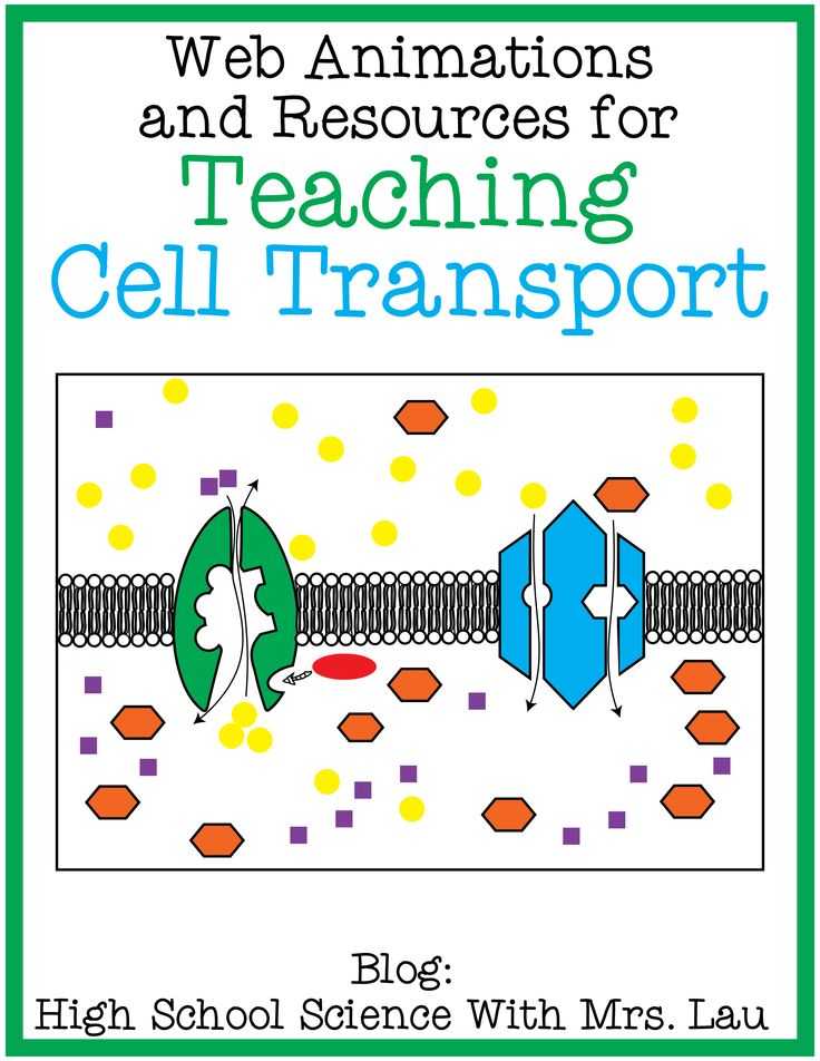 Active Transport Worksheet together with 97 Best Cells Cell Membrane Images On Pinterest
