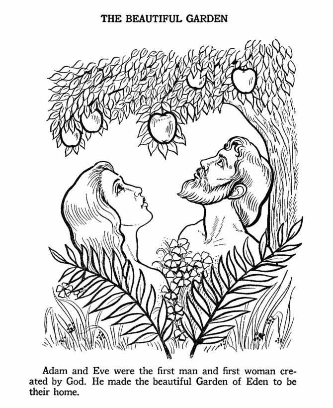 Adam and Eve Worksheets Also 65 Best Adam & Eve Images On Pinterest