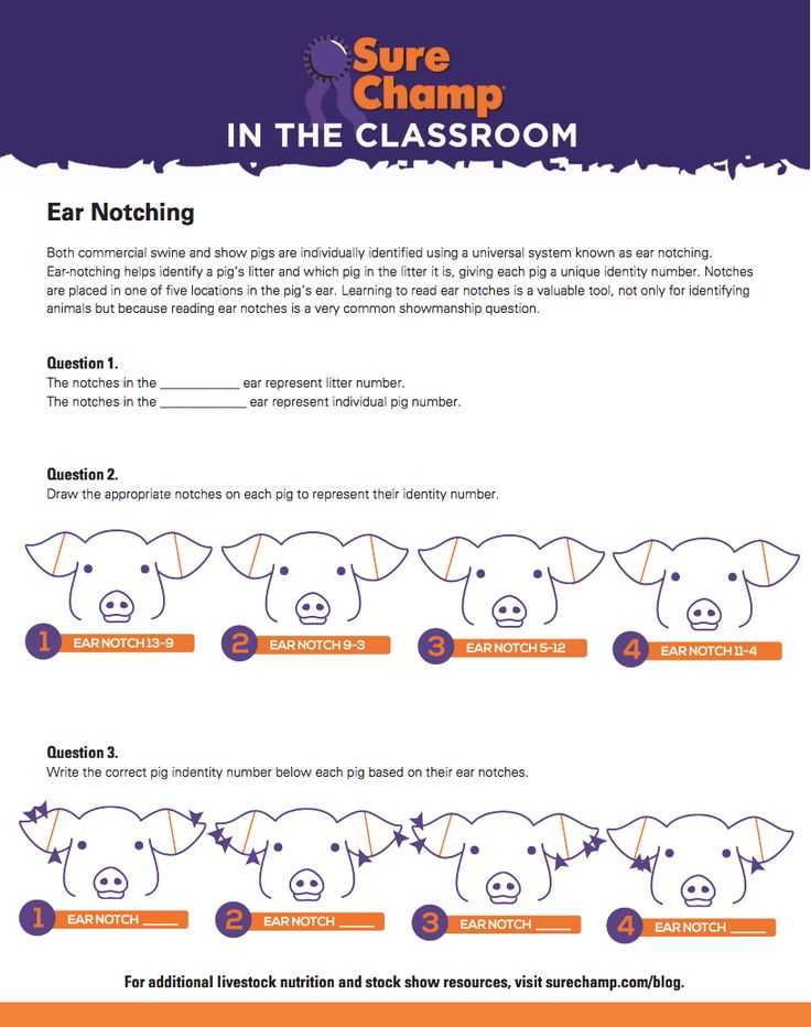 Agriculture Careers Worksheet Also 144 Best Ag In the Classroom Images On Pinterest