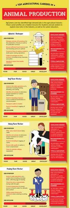 Agriculture Careers Worksheet Also Explore Three Different Careers In the Agricultural Industry Sector