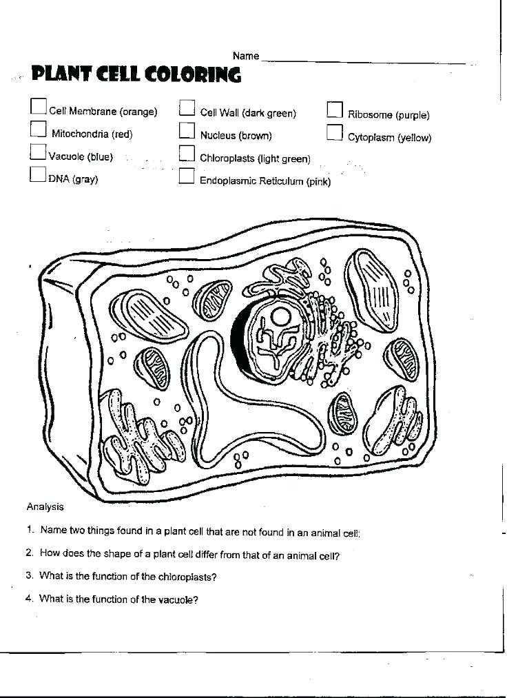 Animal and Plant Cells Worksheet or Animal Cell Coloring Worksheet Animal Cell Coloring Page Animal and