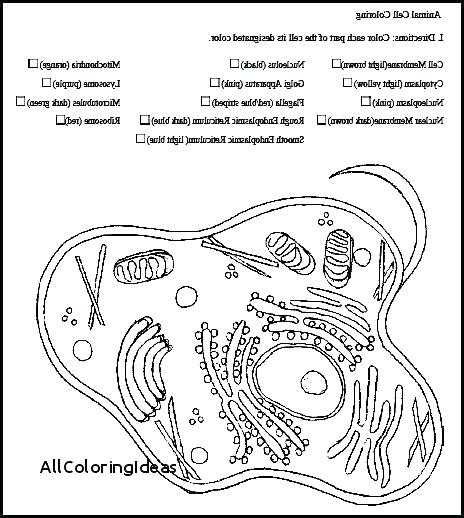 Animal Cell Coloring Worksheet Answers Along with 12 Awesome Animal Cell Coloring Page Answers Image