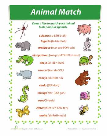 Animals In Spanish Worksheet together with Animals In Spanish Match Up