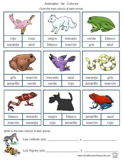 Animals In Spanish Worksheet with 38 Best Fran S Freebies "catalog" Images On Pinterest