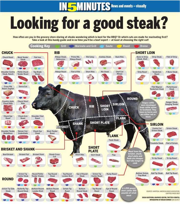 Beef Primal Cuts Worksheet Answers Along with 320 Best Ag Production Images On Pinterest