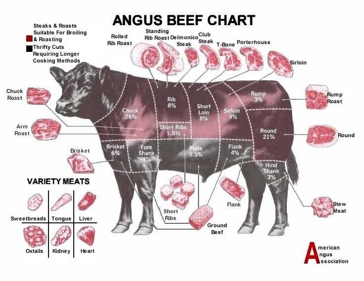 Beef Primal Cuts Worksheet Answers and 320 Best Ag Production Images On Pinterest