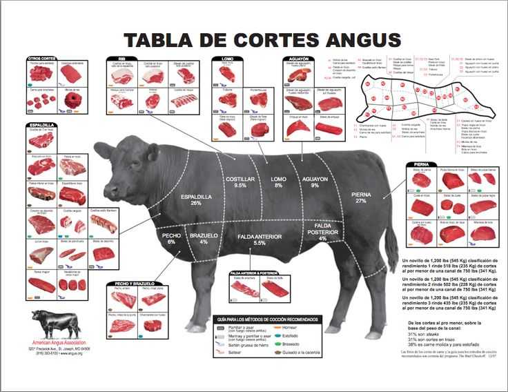 Beef Primal Cuts Worksheet Answers as Well as 103 Best butcher Images On Pinterest