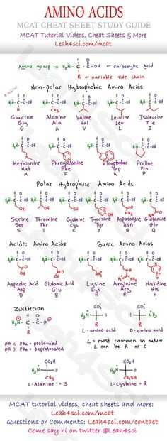 Biochemistry Basics Worksheet Answers with Mcat Amino Acid Chart Study Guide Cheat Sheet for the Biology