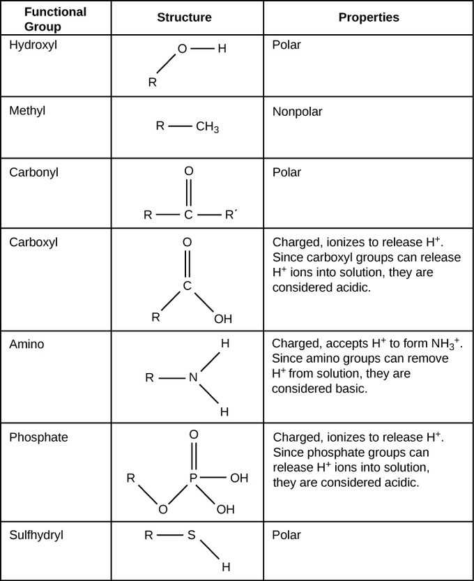 Biological Molecules Worksheet together with Biological Worksheet Fabulous What are some Findings In Biological