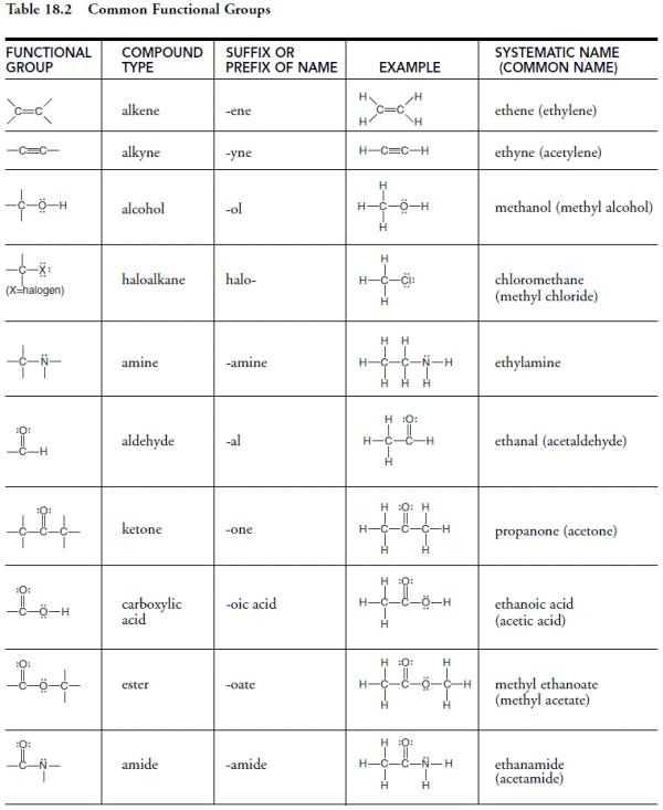 Biological Molecules Worksheet with Worksheets 44 Best Macromolecules Worksheet Full Hd Wallpaper