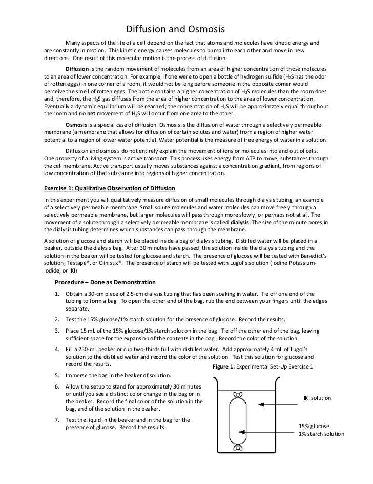 Biology Diffusion and Osmosis Worksheet Answer Key Along with Worksheets 48 Awesome Diffusion and Osmosis Worksheet Answers Full