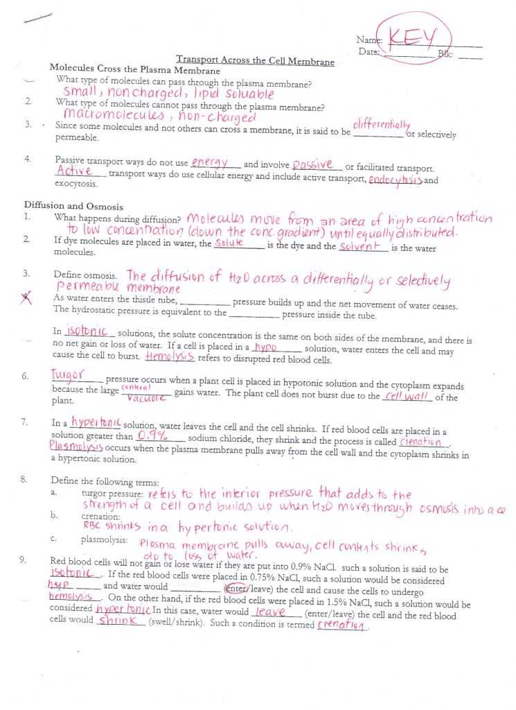 Biology Diffusion and Osmosis Worksheet Answer Key together with Awesome Diffusion and Osmosis Worksheet Answers Elegant Osmosis