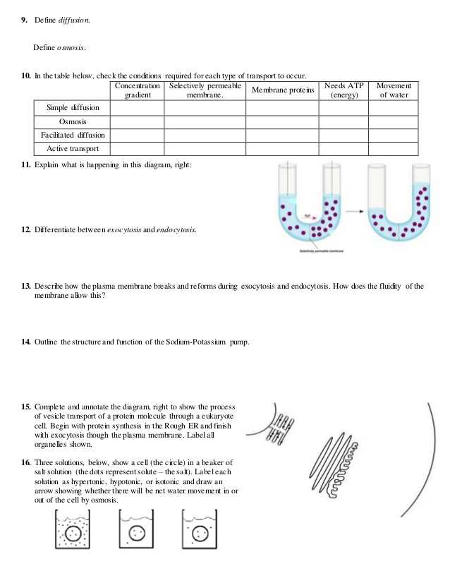 Biology Diffusion and Osmosis Worksheet Answer Key with Beautiful Cell Transport Review Worksheet Awesome Cell Transport