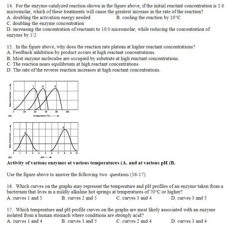 Biology Enzymes Worksheet Answers Along with 26 New Enzyme Graphing Worksheet Answer Key