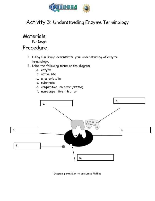 Biology Enzymes Worksheet Answers and Biotechnology Timeline