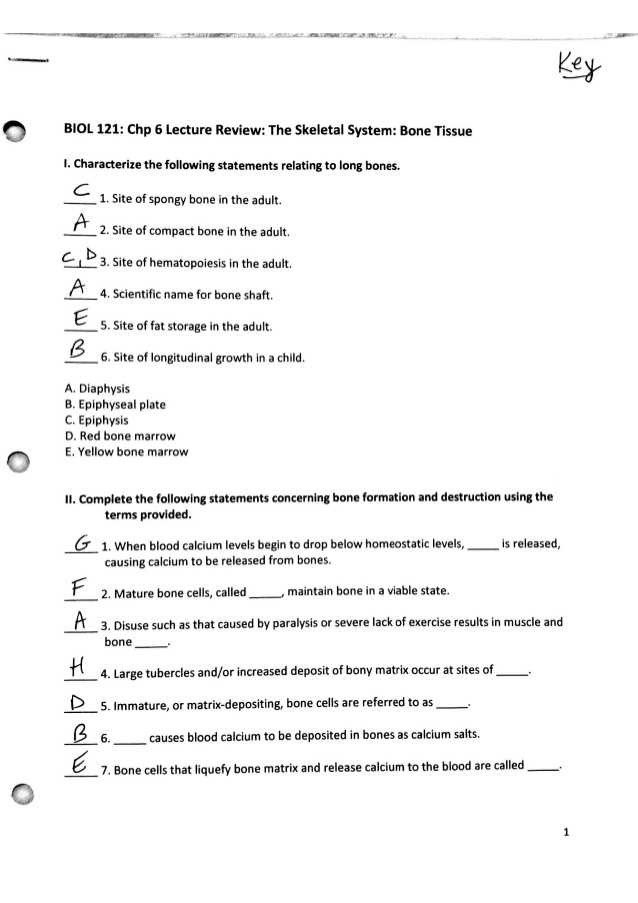 Biomolecule Review Worksheet as Well as Großartig Anatomy and Physiology 1 Worksheet for Tissue Types