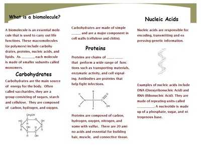 Biomolecule Review Worksheet with Biological Worksheet Fabulous What are some Findings In Biological