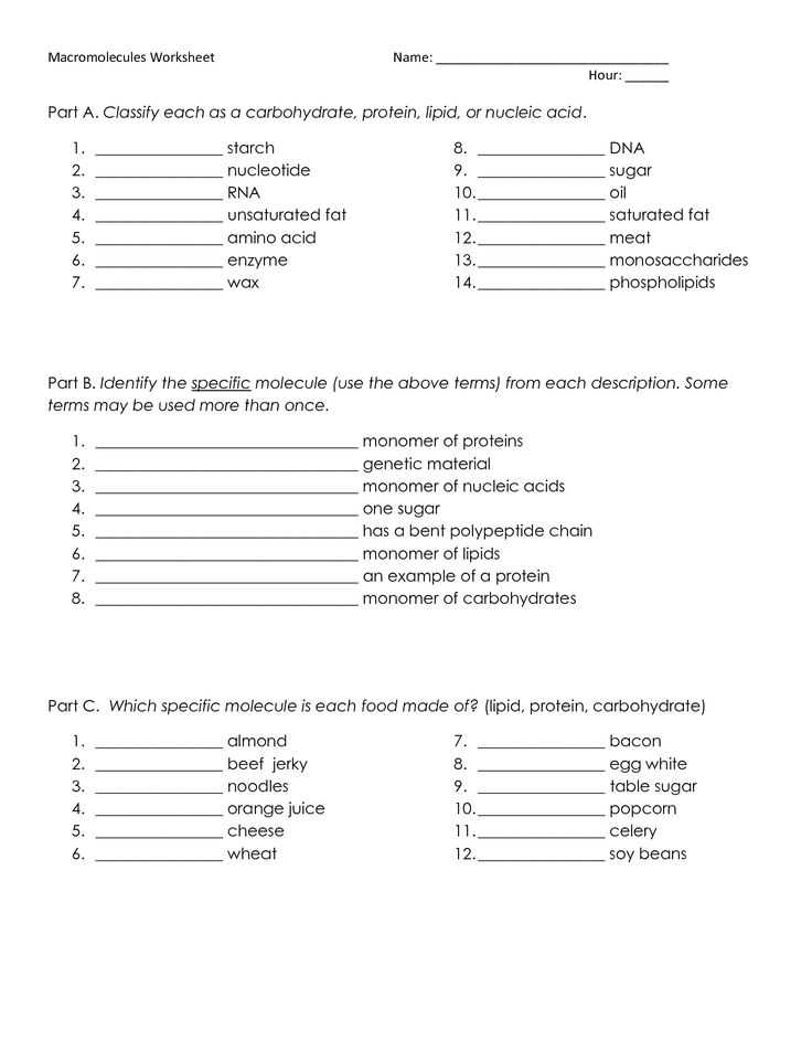 Biomolecules Worksheet Answers Also 1380 Best Science Images On Pinterest