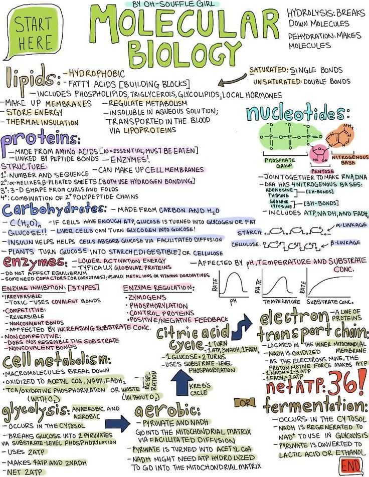 Biomolecules Worksheet Answers and 31 Best Mcat Images On Pinterest