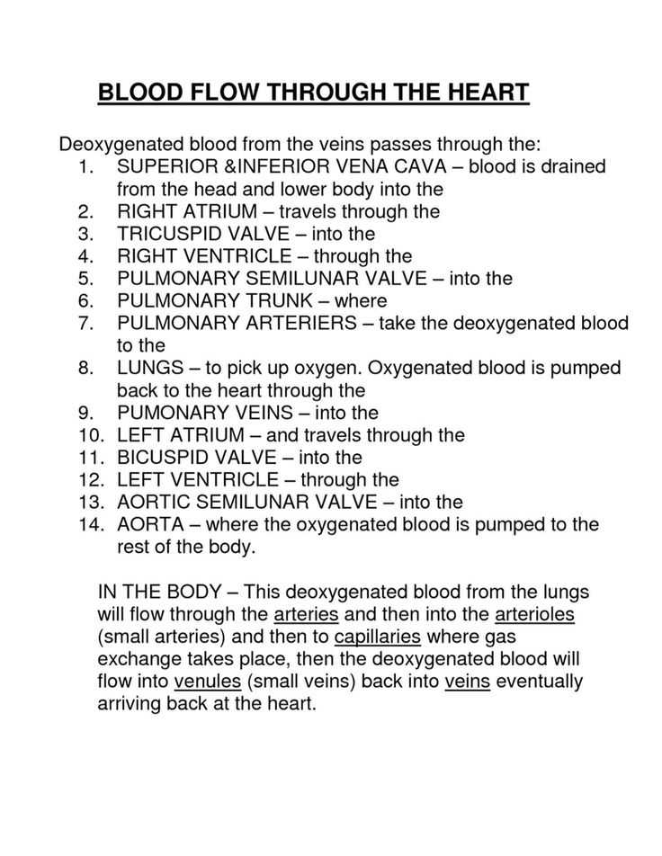 Blood Diamond Worksheet Answers and 2366 Best Education Primary Images On Pinterest