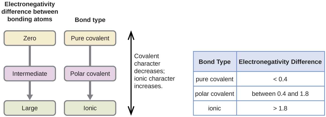 Bonding Basics Ionic Bonds Worksheet Answers Along with 7 2 Covalent Bonding – Chemistry