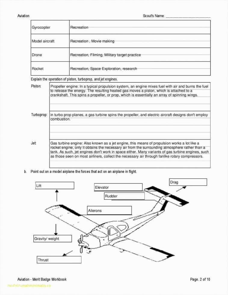 Boy Scout Worksheets Also Awesome Merit Badge Worksheets – Sabaax