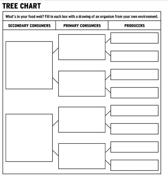 Career Planning for High School Students Worksheet with High School Biology Ecology Worksheets