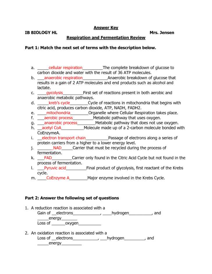 Cell Cycle and Mitosis Worksheet Answer Key Along with Inspirational the Cell Cycle Worksheet New Cell Division Mitosis and