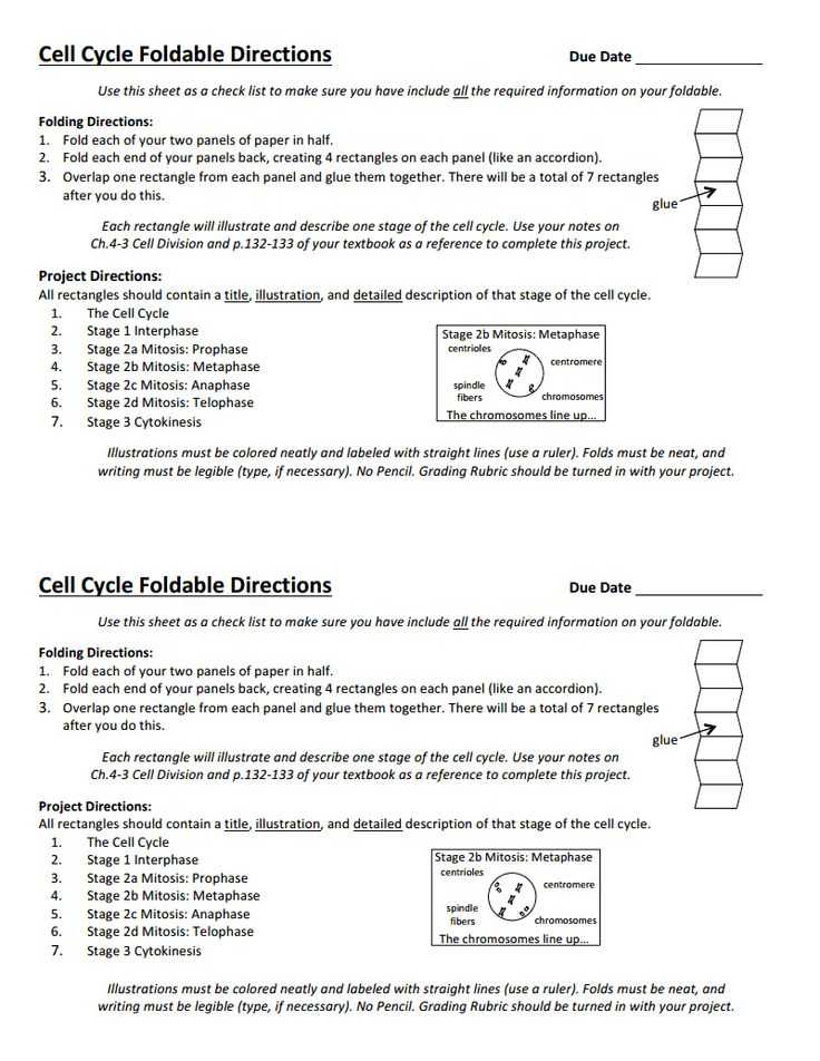 Cell Cycle and Mitosis Worksheet Answers with 1096 Best Biology Class Images On Pinterest