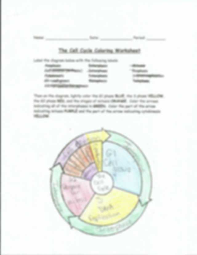 Cell Cycle Coloring Worksheet together with Cell Cycle Coloring Worksheet Name Date Period the Cell Cycle