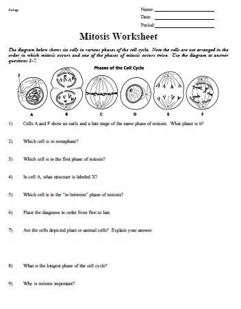 Cell Division Worksheet Answers Along with Worksheets 47 New Mitosis Worksheet High Definition Wallpaper S