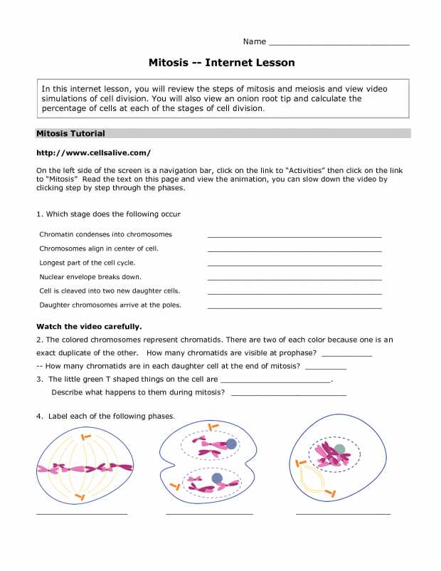 Cell Division Worksheet Answers Along with Worksheets 47 New Mitosis Worksheet High Definition Wallpaper S