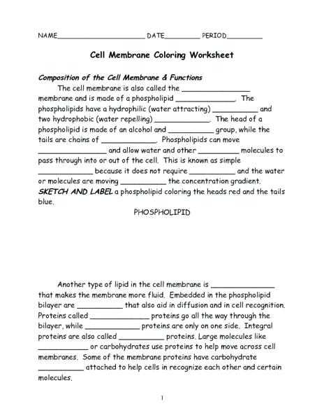 Cell Membrane Coloring Worksheet Answer Key with 1 with Cell Membrane Coloring Worksheet Coloring Pages