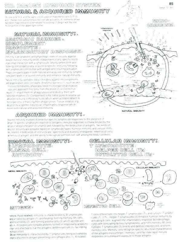 Cell Membrane Coloring Worksheet Answer Key with Best Cell Membrane Coloring Worksheet Best Worksheet Templates