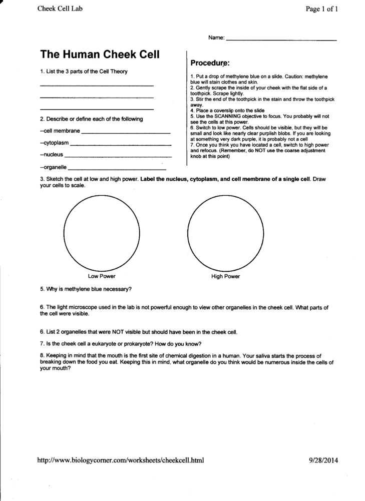 Cell Membrane Coloring Worksheet with New Cell Membrane Coloring Worksheet Answers New Fine Cell Wall