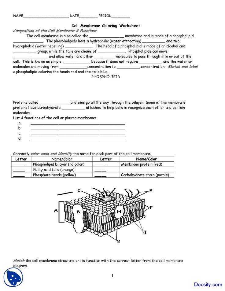 Cell Membrane Worksheet Answers and Cell Membrane and tonicity Worksheet Worksheets for All