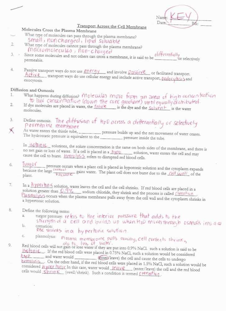 Cell Membrane Worksheet Answers and Cell Membrane Coloring Worksheet Answers Cadrecorner