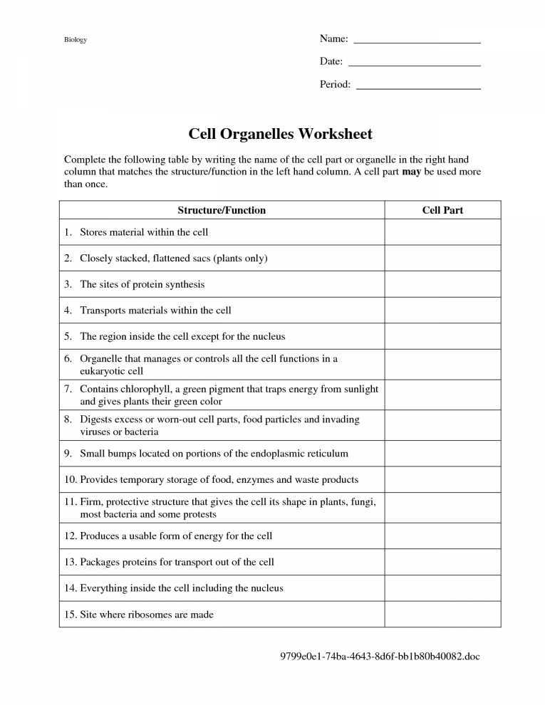 Cell organelles and their Functions Worksheet Answers and Worksheets 48 Awesome Cell organelles Worksheet High Definition