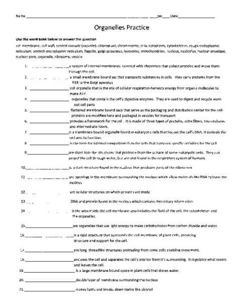 Cell organelles and their Functions Worksheet Answers or Inspirational Cell organelles Worksheet Unique Cell Structure and