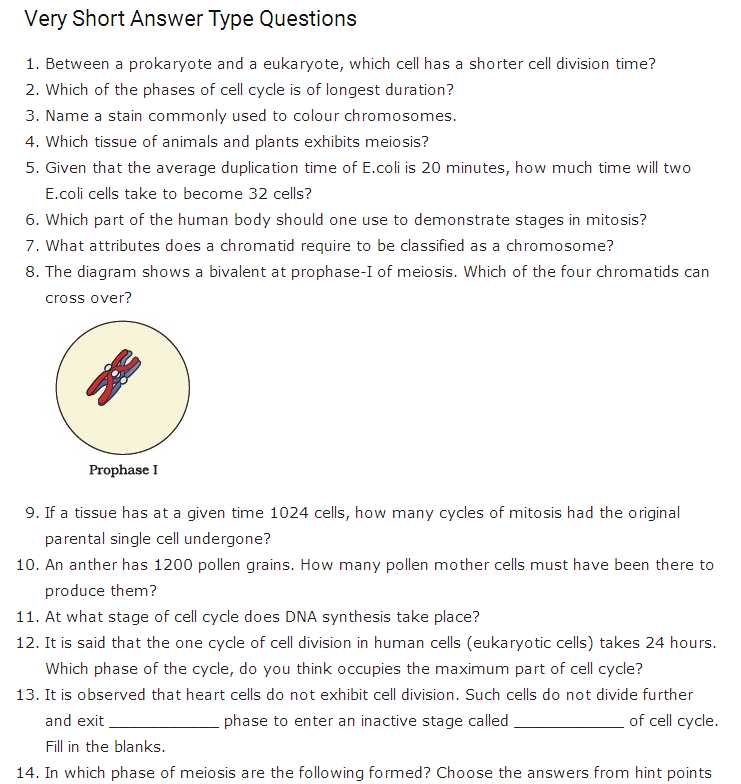 Cell Reproduction Worksheet Answers with Important Questions for Class 11 Biology Chapter 10 Cell Cycle and