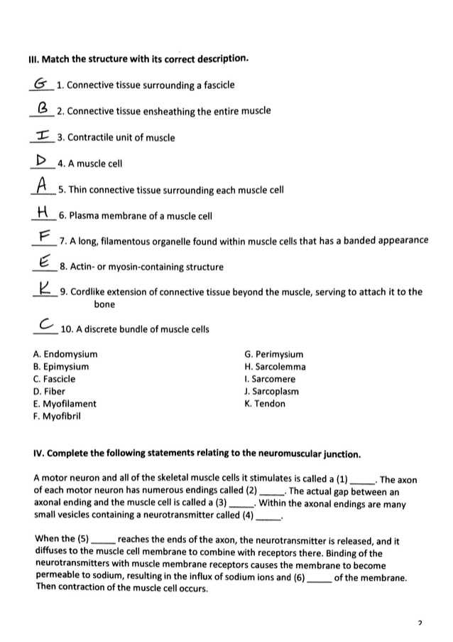 Cell Structure and Function Worksheet Answer Key Along with Großartig Anatomy and Physiology 1 Worksheet for Tissue Types